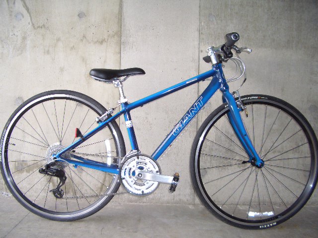 GIANT�@�d�r�b�`�o�d�@�q�R